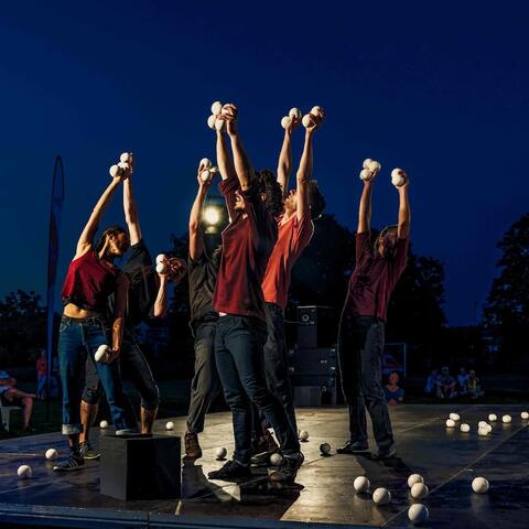 Stefan Sing: Critical Mess Superorganism